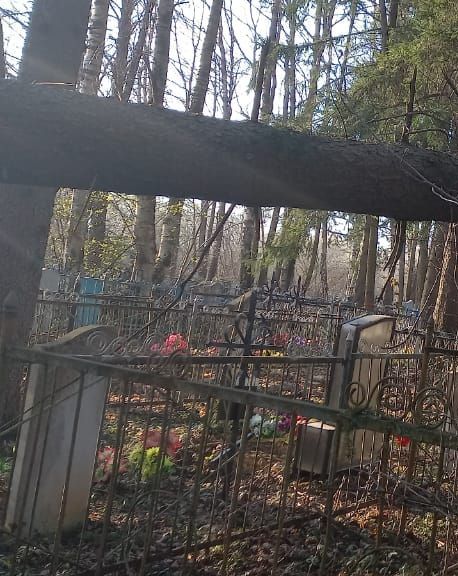 Удаление деревьев на кладбище