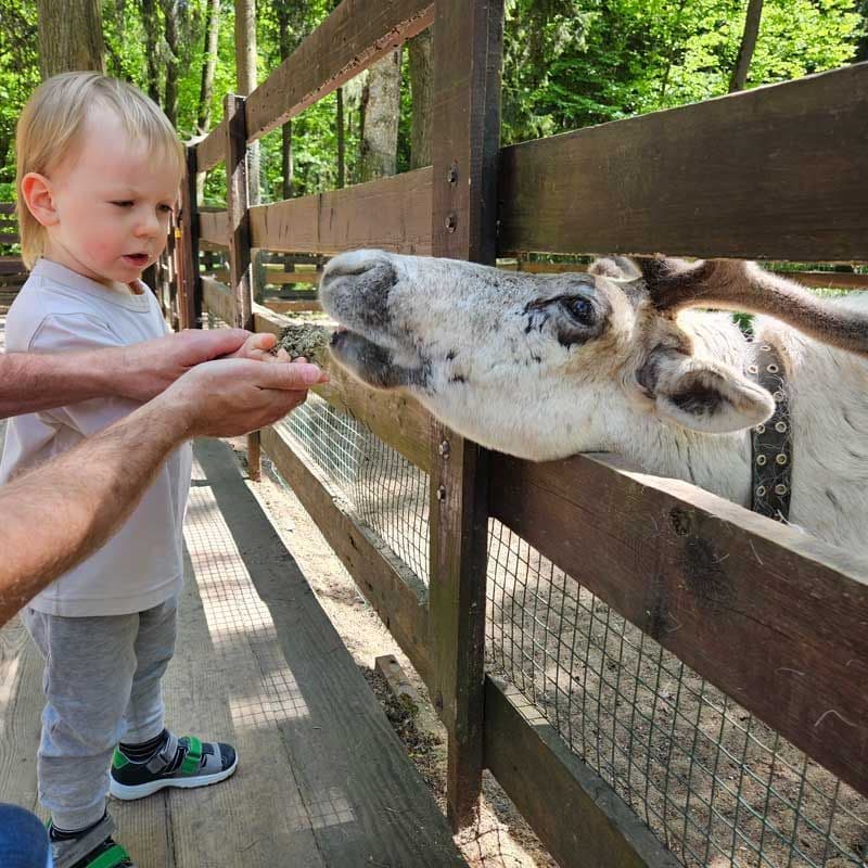 Moscow Children's Activities