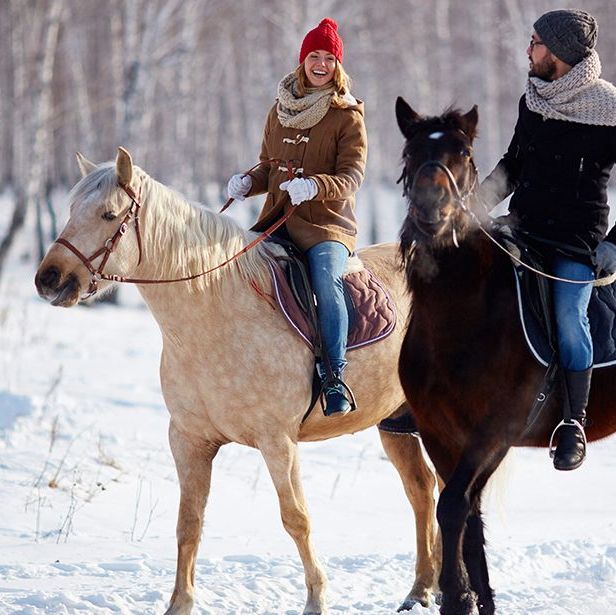 Купить Horseback Ride