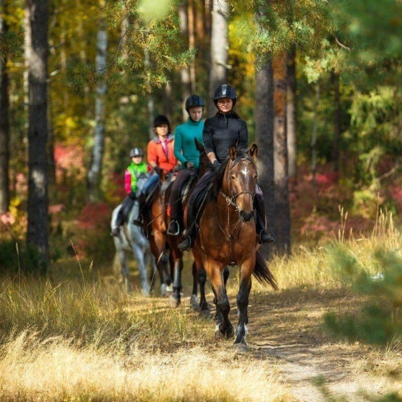 Купить Horseback Riding [1 hour]