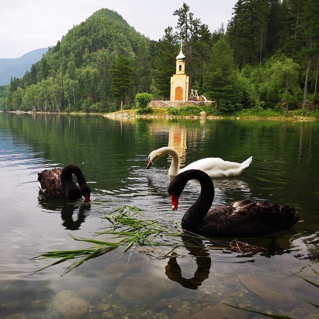 Купить Фото Видео турв эко-парк Южный Байкал