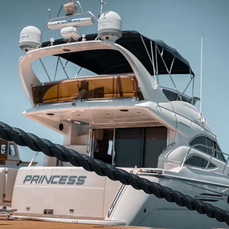Купить «PRINCESS 45»
