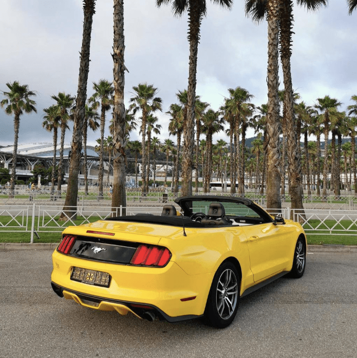 Купить Ford Mustang