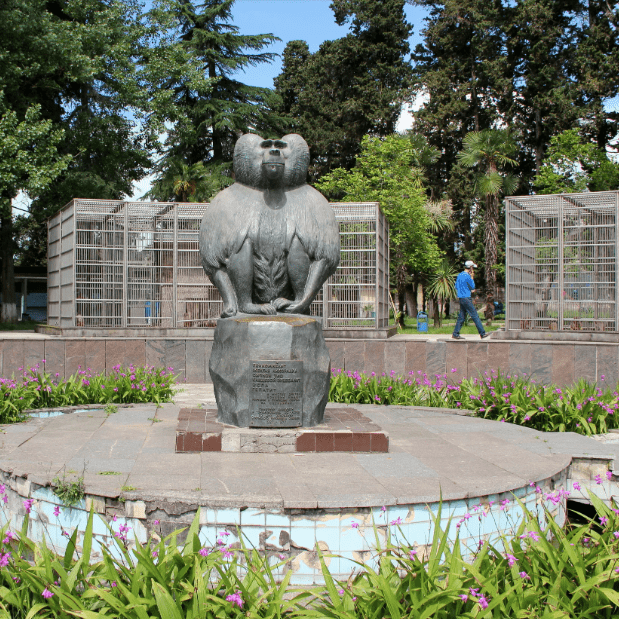 Купить Абхазия Сухум