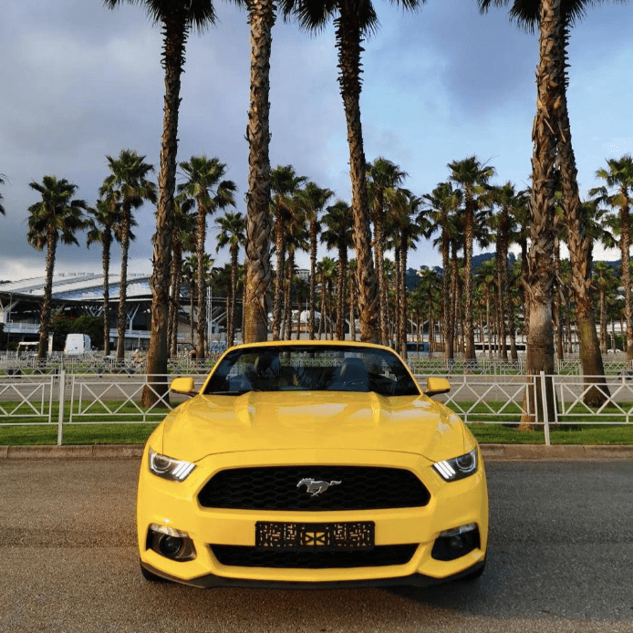 Купить Ford Mustang