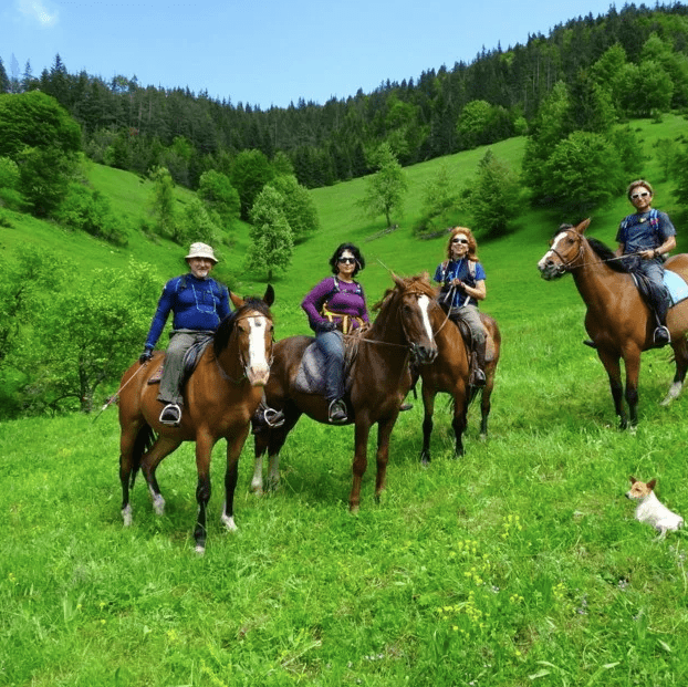 Даргавс конные прогулки