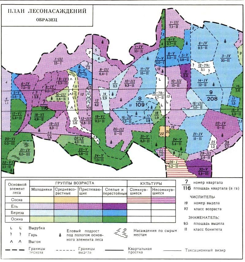 Карта выделов лесных участков