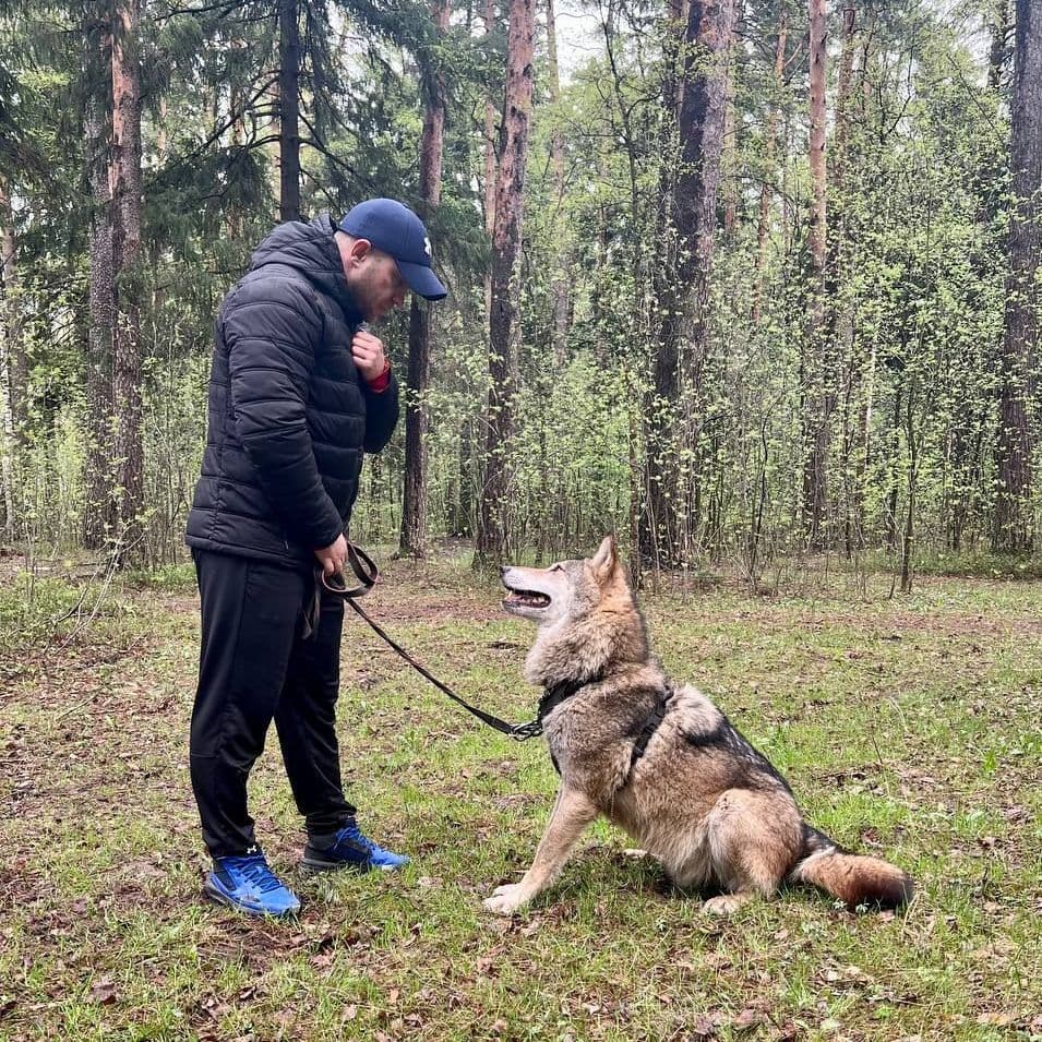 Ради чего Вам стоит к нам приехать?