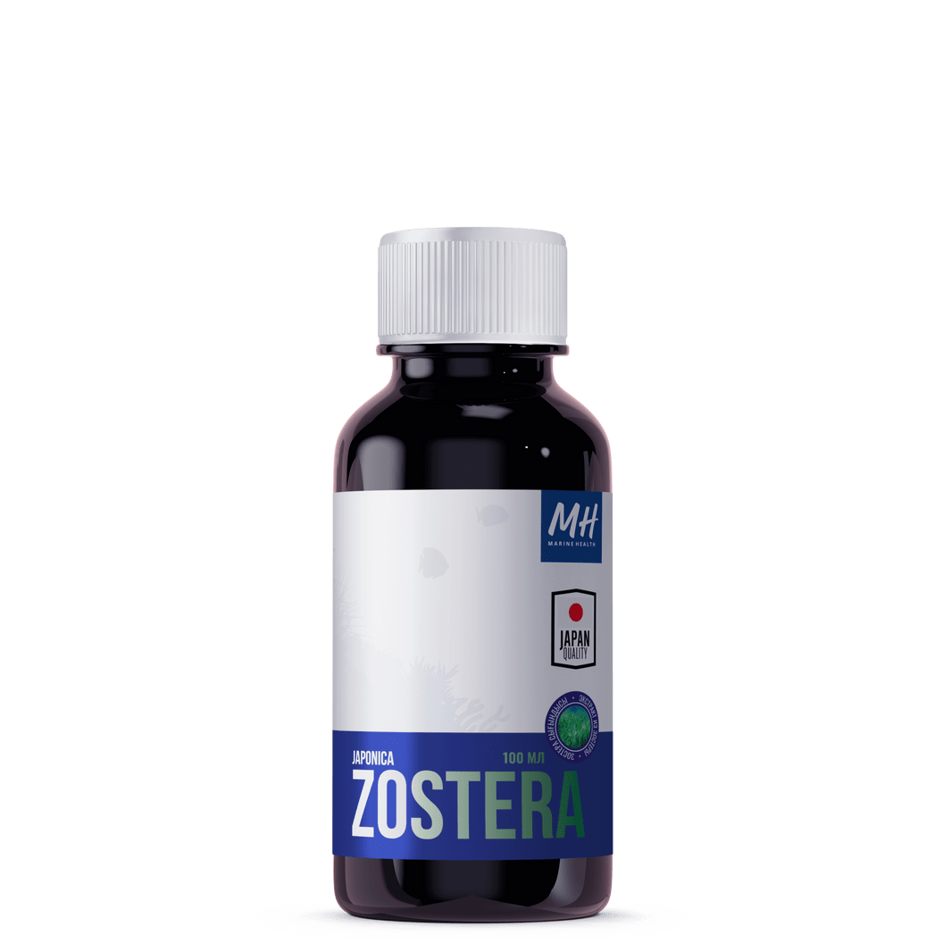 Купить ZOSTERA