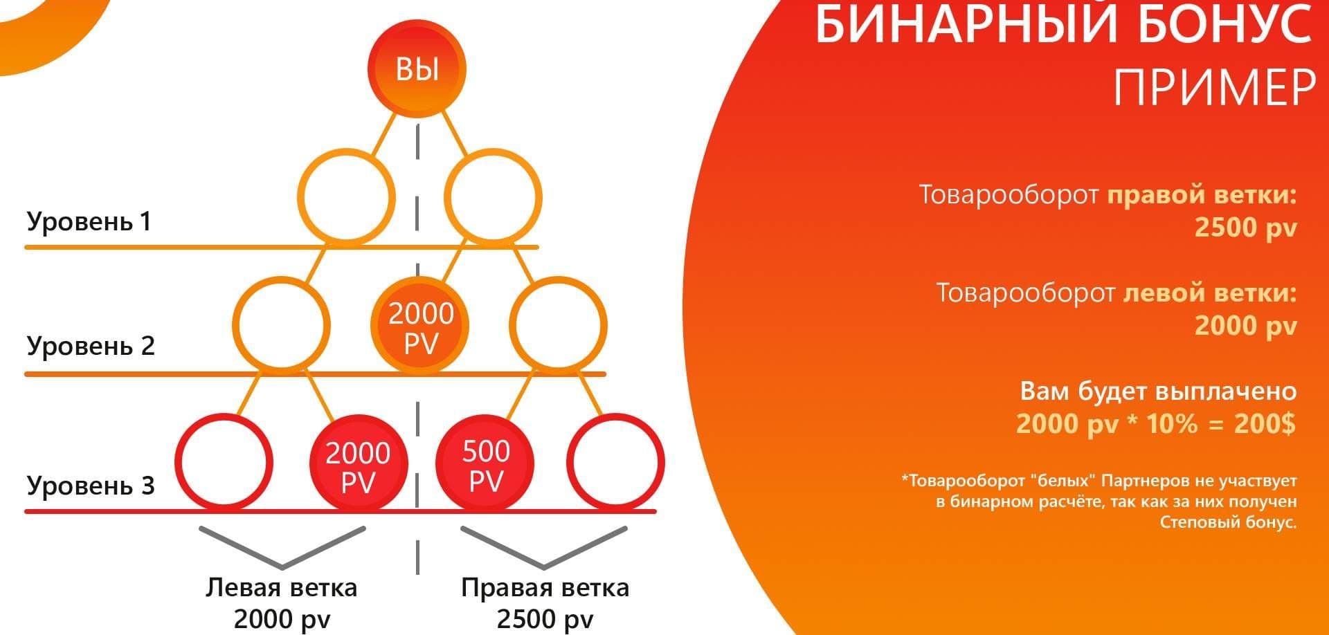 whieda бинарный бонус пример