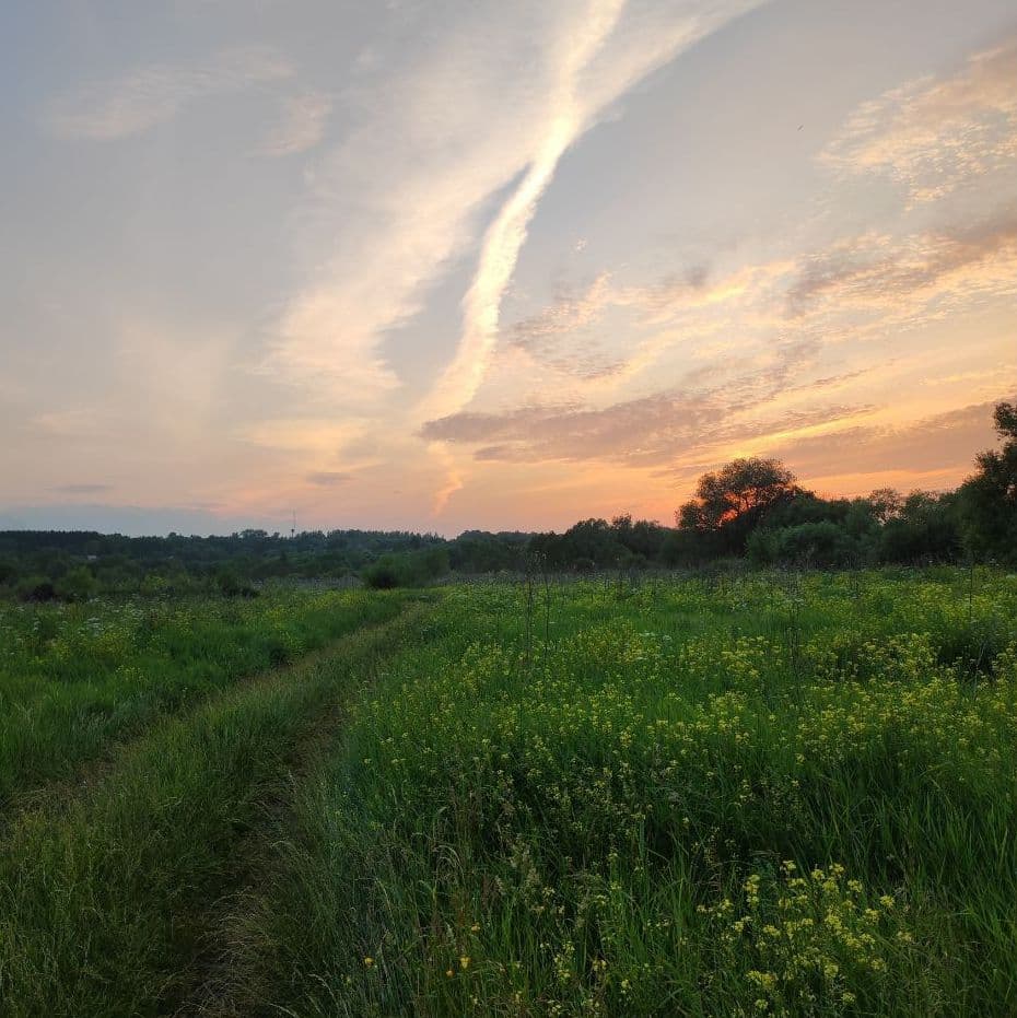 Купить Сплавы