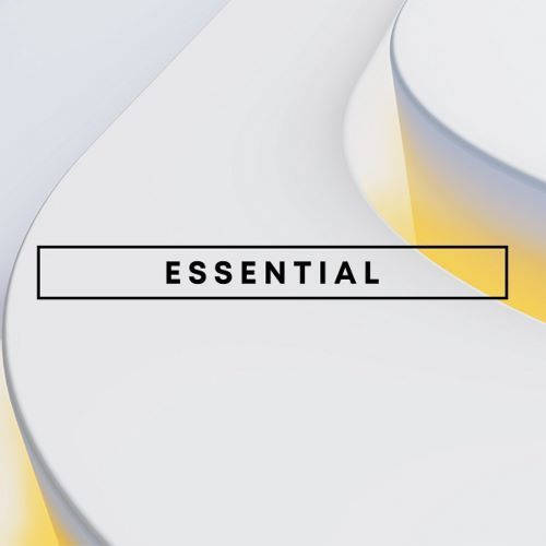 Купить Essential 