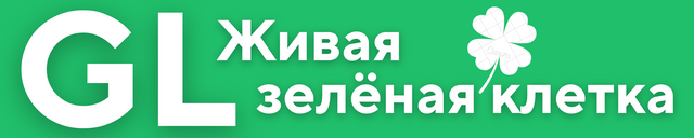 Хлорофилл комплекс GL Грин Лайт в оливковом масле жидкий пищевой. На нашем сайте вы можете заказать GL-Грин Лайт и GL-Грин Ойл. Быстрая доставка по России, бонусы, рассрочка и кэшбэк.