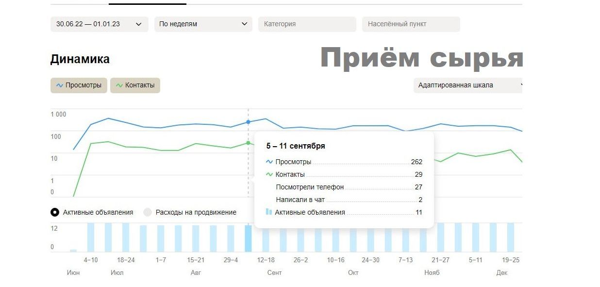 Результат запуска объявления на Авито