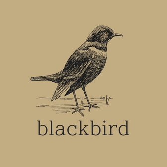 Blackbird coffee