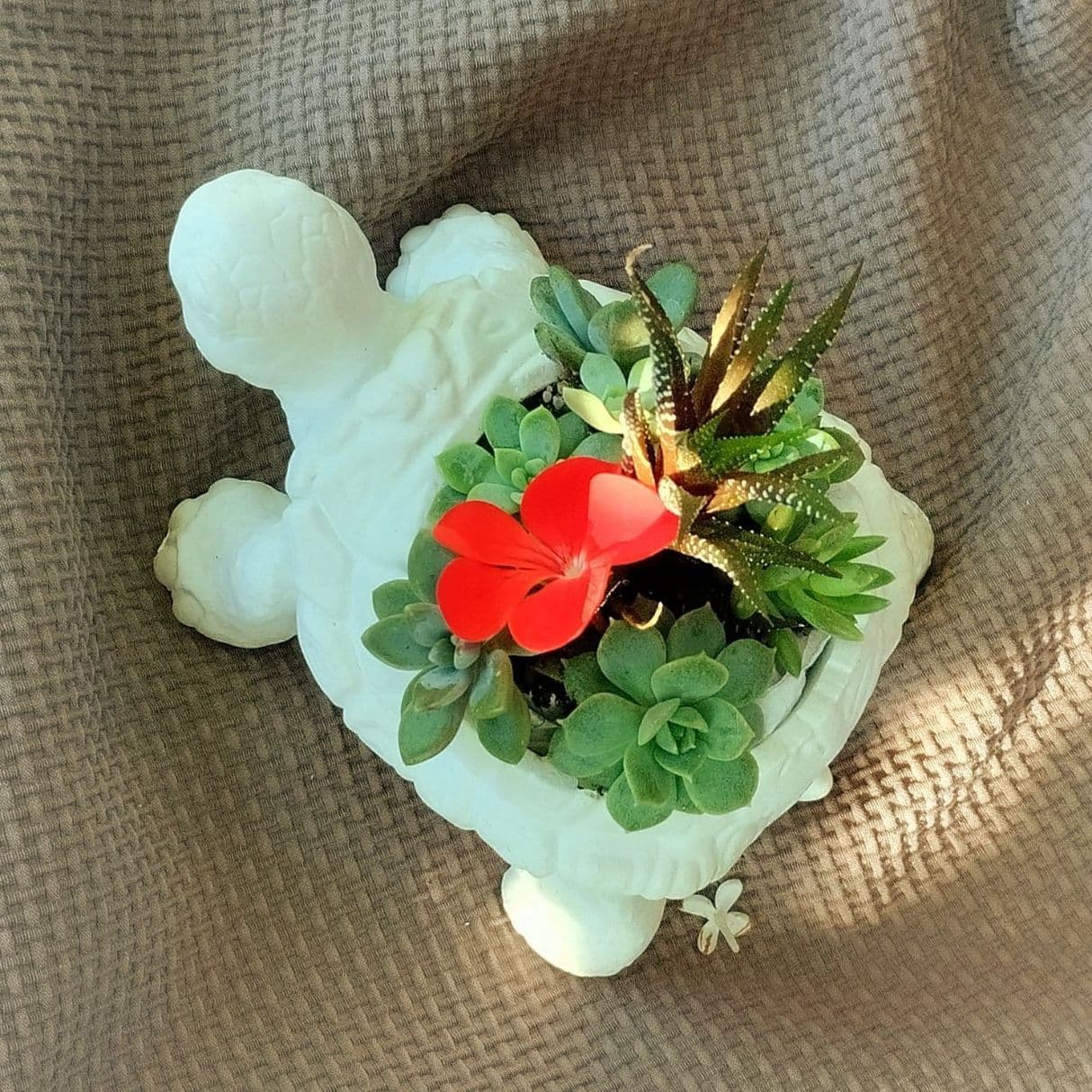Кашпо для цветов из пластика