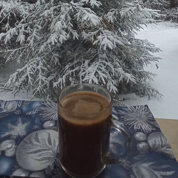 Купить Прогулка на снегоходных санях