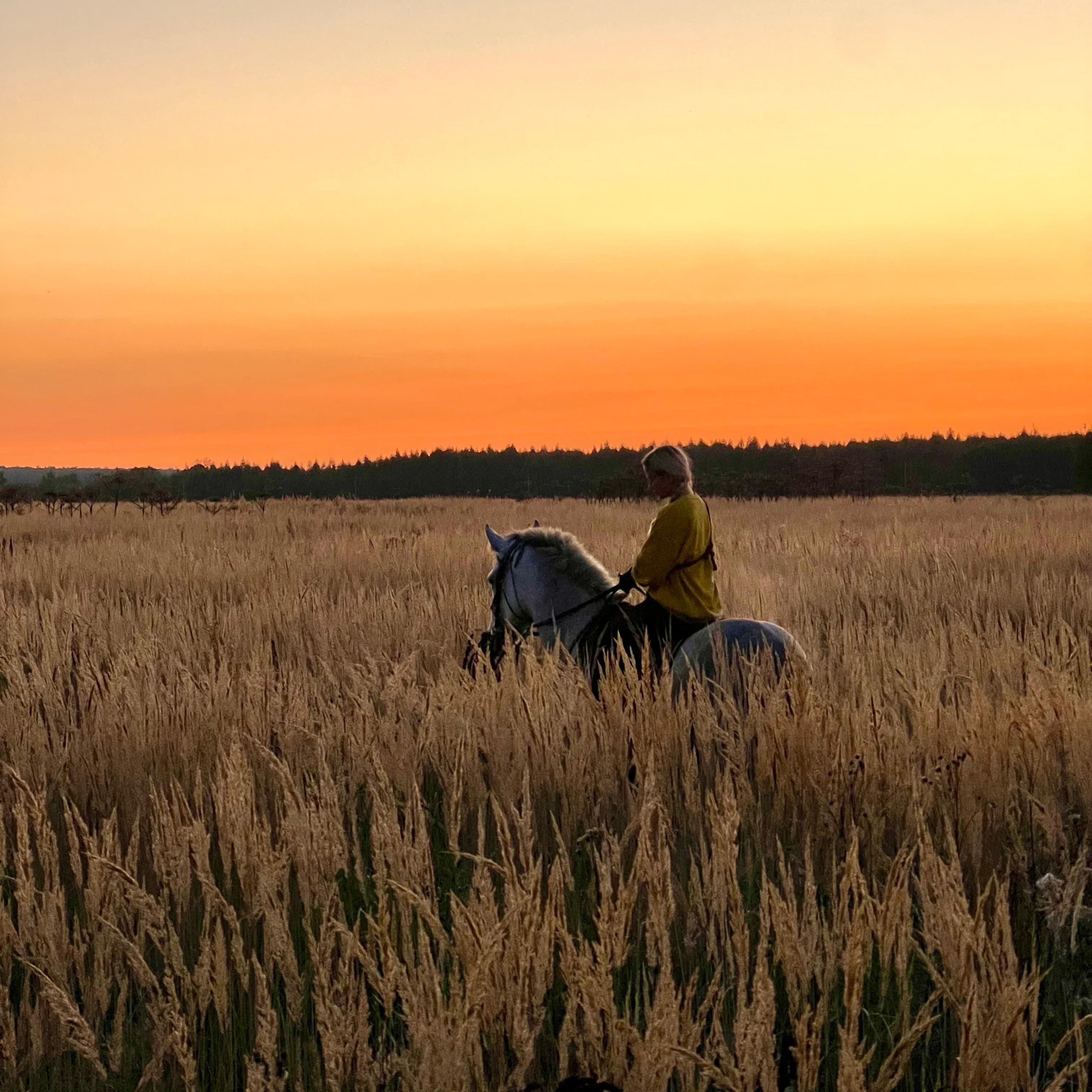 Наездница в поле