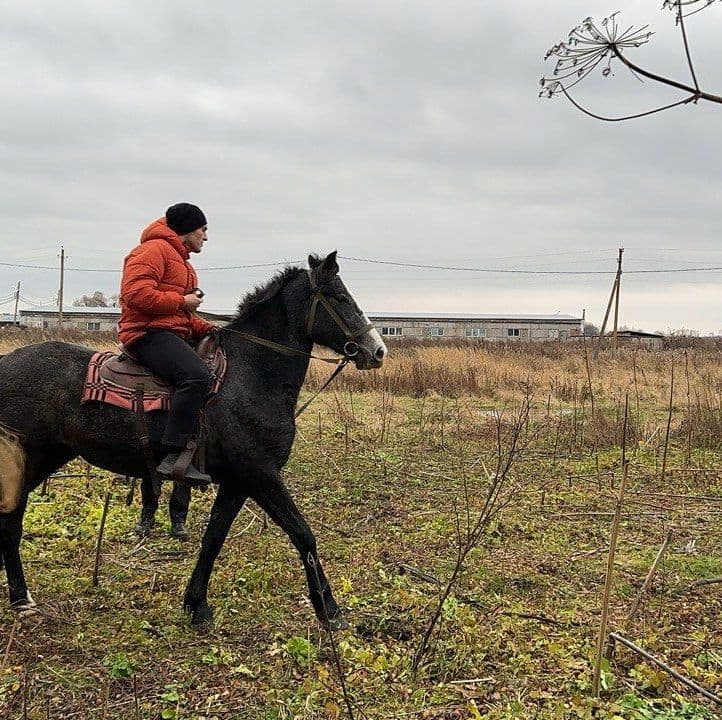 Наездница в поле