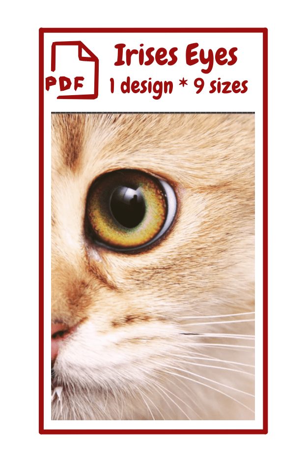 The image shows a close-up of a cat's face, focusing on its eye. The cat has a green eye with a black pupil, and its fur is a light tan color. The image is framed with a red border. At the top of the image, there is text in red that reads "PDF Irises Eyes 1 design * 9 sizes" with an icon of a document labeled "PDF" on the left side.  Irises Eyes  *  PDF 1 design 9 sizes   cat, domestic cat, animal, small to medium-sized cats, whiskers, felidae, mammal, text, eyes. a cat with a sad face.