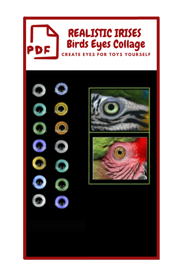 The image is a digital collage titled "REALISTIC IRISES Birds Eyes Collage" with the subtitle "CREATE EYES FOR TOYS YOURSELF." It features a PDF icon at the top left. Below the title, there are two sections. On the left, there are two vertical rows of bird eye designs in various colors, including shades of blue, green, yellow, and purple. On the right, there are two close-up images of bird eyes. The top image shows a bird with a black and white striped pattern around its eye, and the bottom image shows a bird with a red and green feather pattern around its eye. The background is black, and the collage is bordered in red.